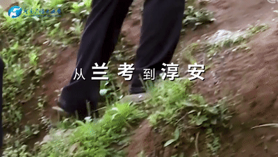 從蘭考到淳安：讀懂中國式現代化