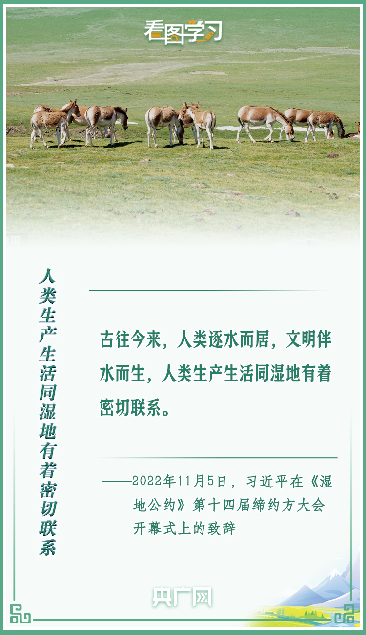 看圖學習丨共同努力譜寫全球濕地保護新篇章