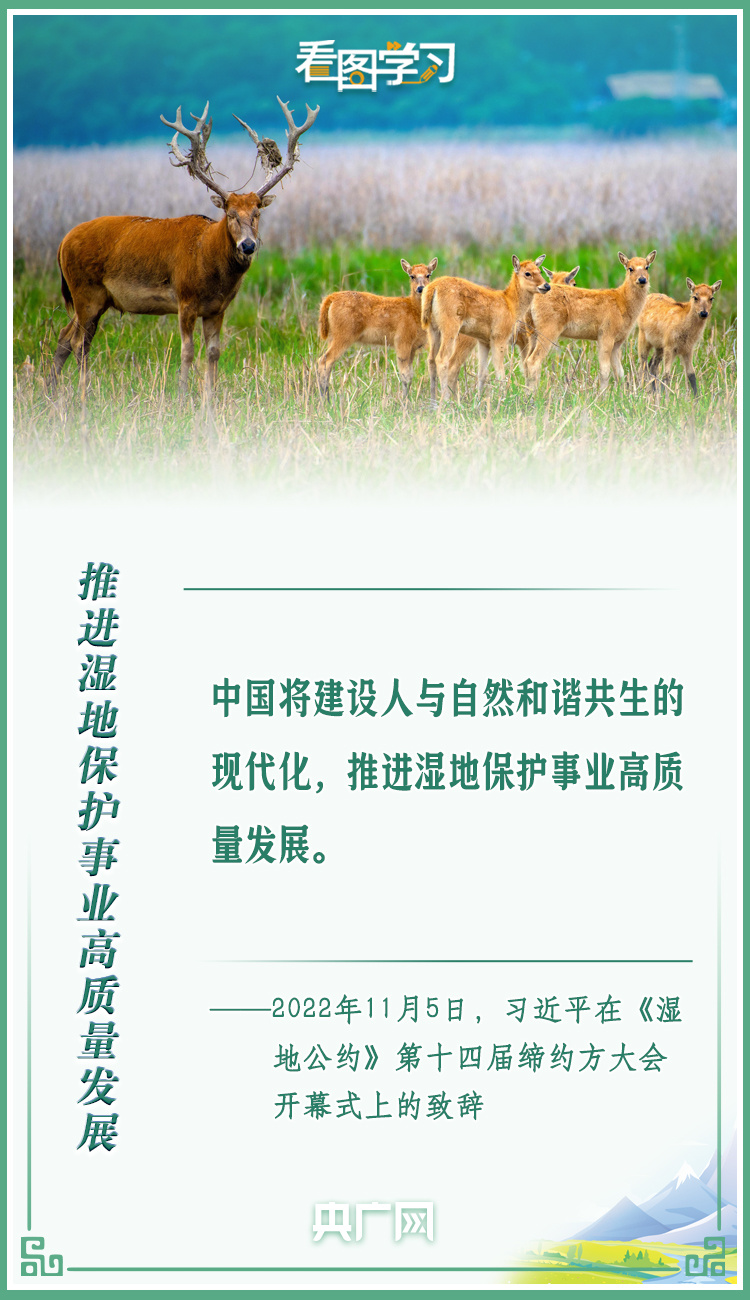 看圖學習丨共同努力譜寫全球濕地保護新篇章