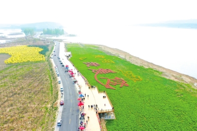 河流潤養兩岸 好陽河濕地蕩起入黃最美“生態漣漪”
