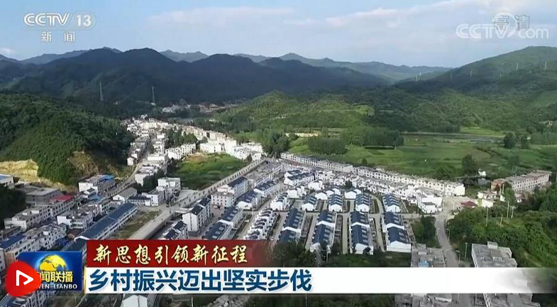 【新思想引領新征程】鄉村振興邁出堅實步伐