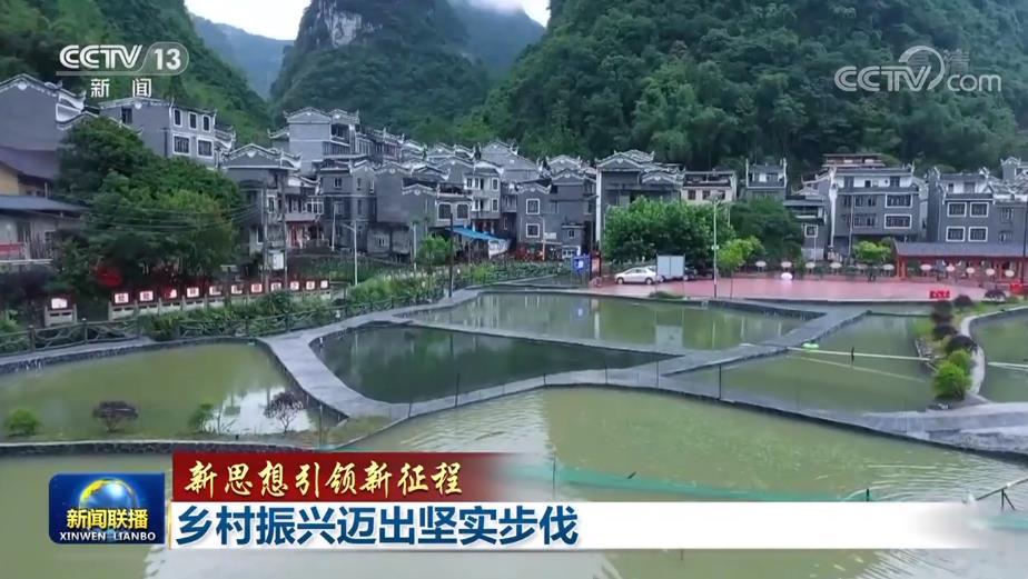 【新思想引領新征程】鄉村振興邁出堅實步伐