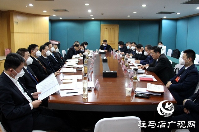 兩會時間｜駐馬店市政協委員分組討論《政府工作報告》和計劃、財政報告