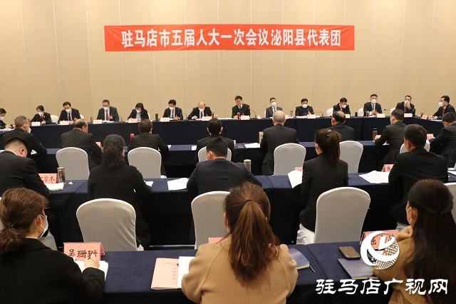 兩會時間｜駐馬店市人大代表分團審議 政府工作報告審查計劃報告、 預(yù)算報告和草案