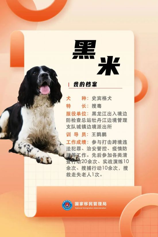 國(guó)家首批“功勛犬”，來(lái)了！