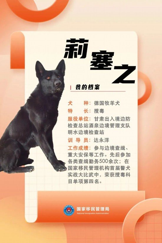 國(guó)家首批“功勛犬”，來(lái)了！
