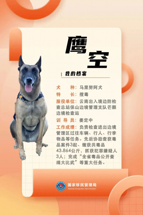 國(guó)家首批“功勛犬”，來(lái)了！