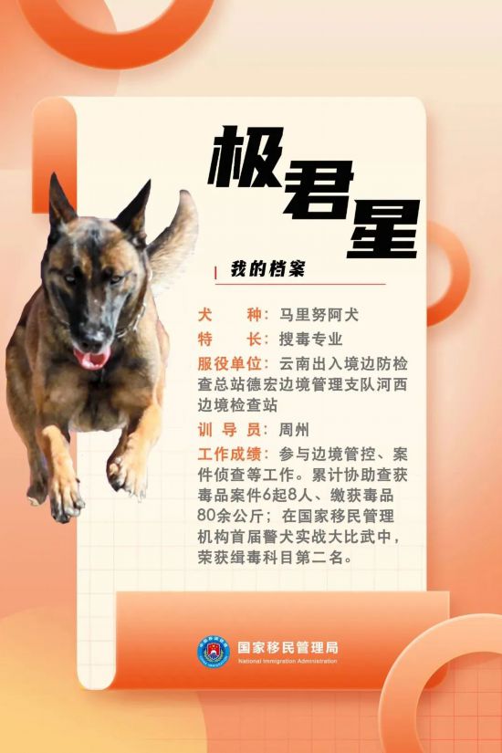 國(guó)家首批“功勛犬”，來(lái)了！