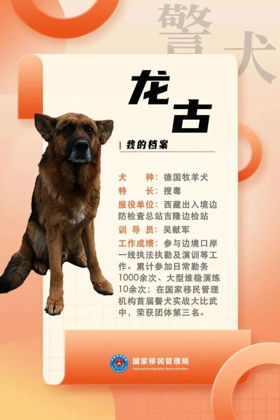 國(guó)家首批“功勛犬”，來(lái)了！