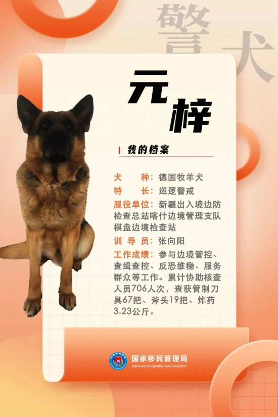 國(guó)家首批“功勛犬”，來(lái)了！