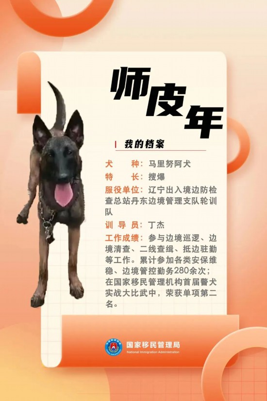 國(guó)家首批“功勛犬”，來(lái)了！
