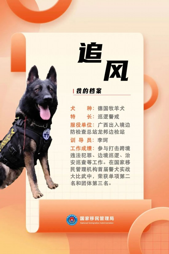 國(guó)家首批“功勛犬”，來(lái)了！