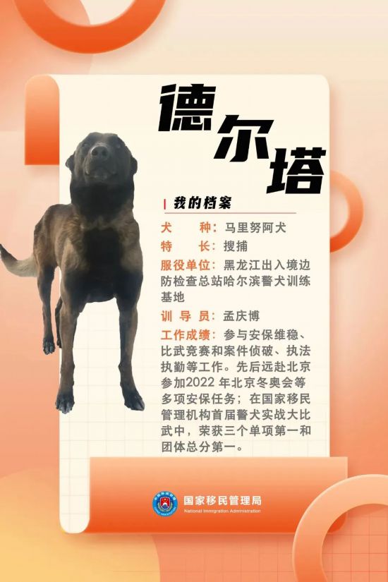 國(guó)家首批“功勛犬”，來(lái)了！