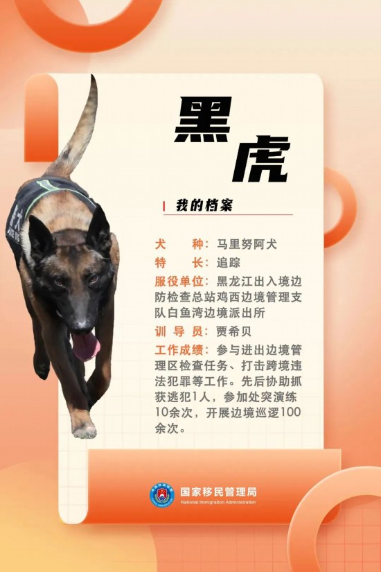國(guó)家首批“功勛犬”，來(lái)了！