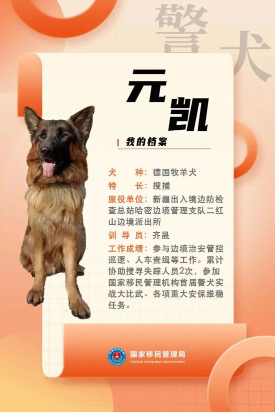 國(guó)家首批“功勛犬”，來(lái)了！