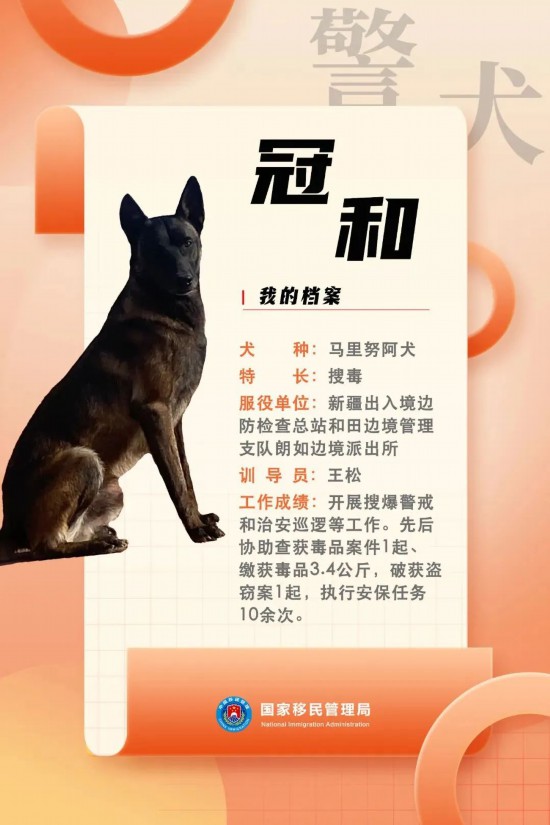 國(guó)家首批“功勛犬”，來(lái)了！