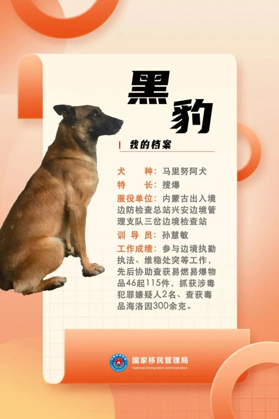 國(guó)家首批“功勛犬”，來(lái)了！
