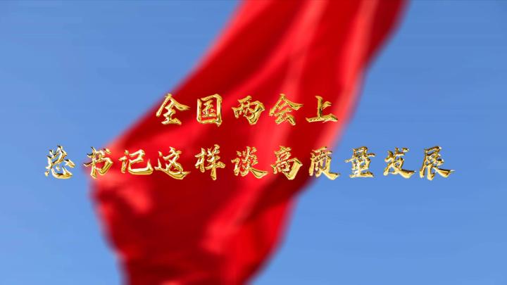  全國兩會上，總書記這樣談高質量發展
