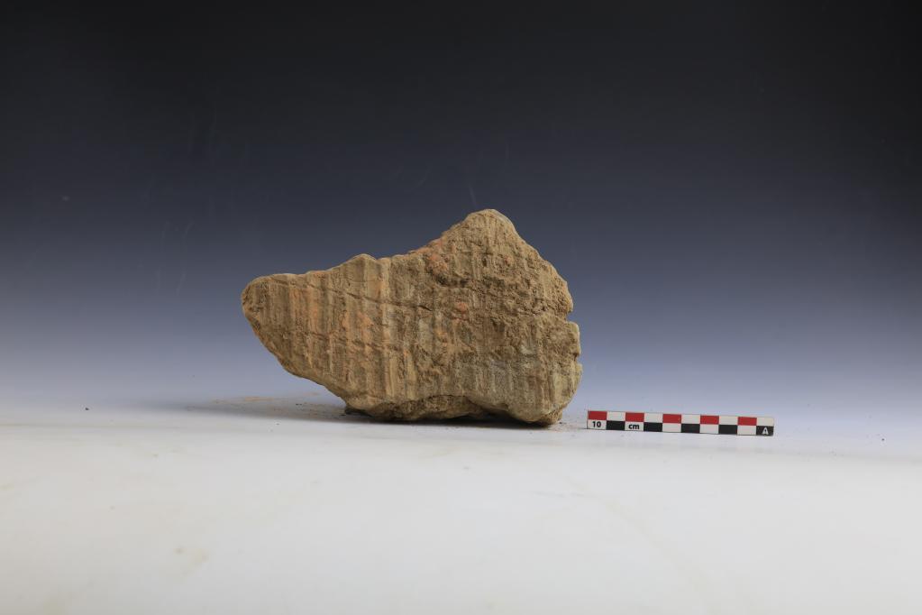 河南安陽發現距今約7800年聚落遺址