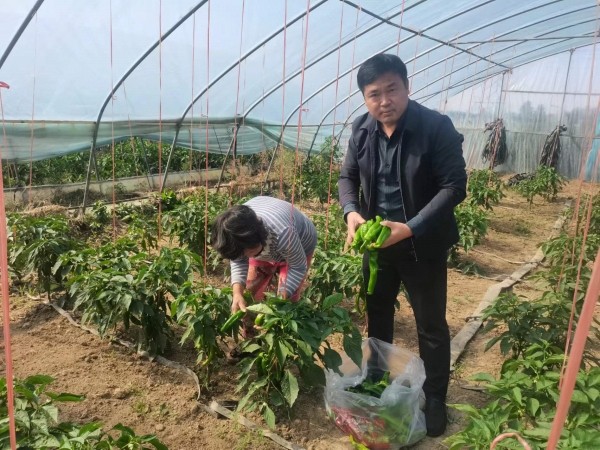 植樹節丨“我想成為一棵樹” 用愛“樹”說春的希望