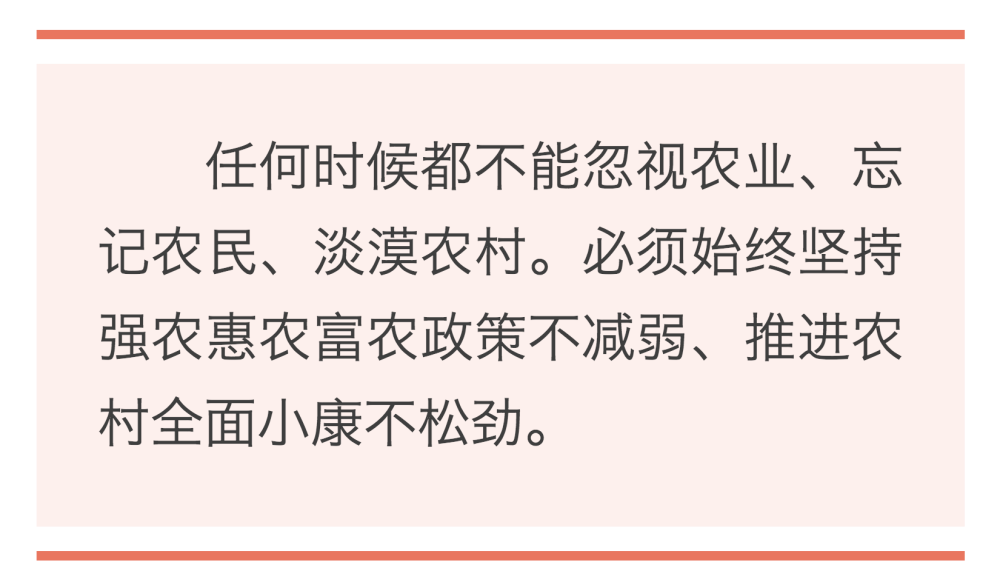 鏡觀·領航｜誓言錚錚為人民   ｜  暖心微視頻｜牽掛總在問詢間