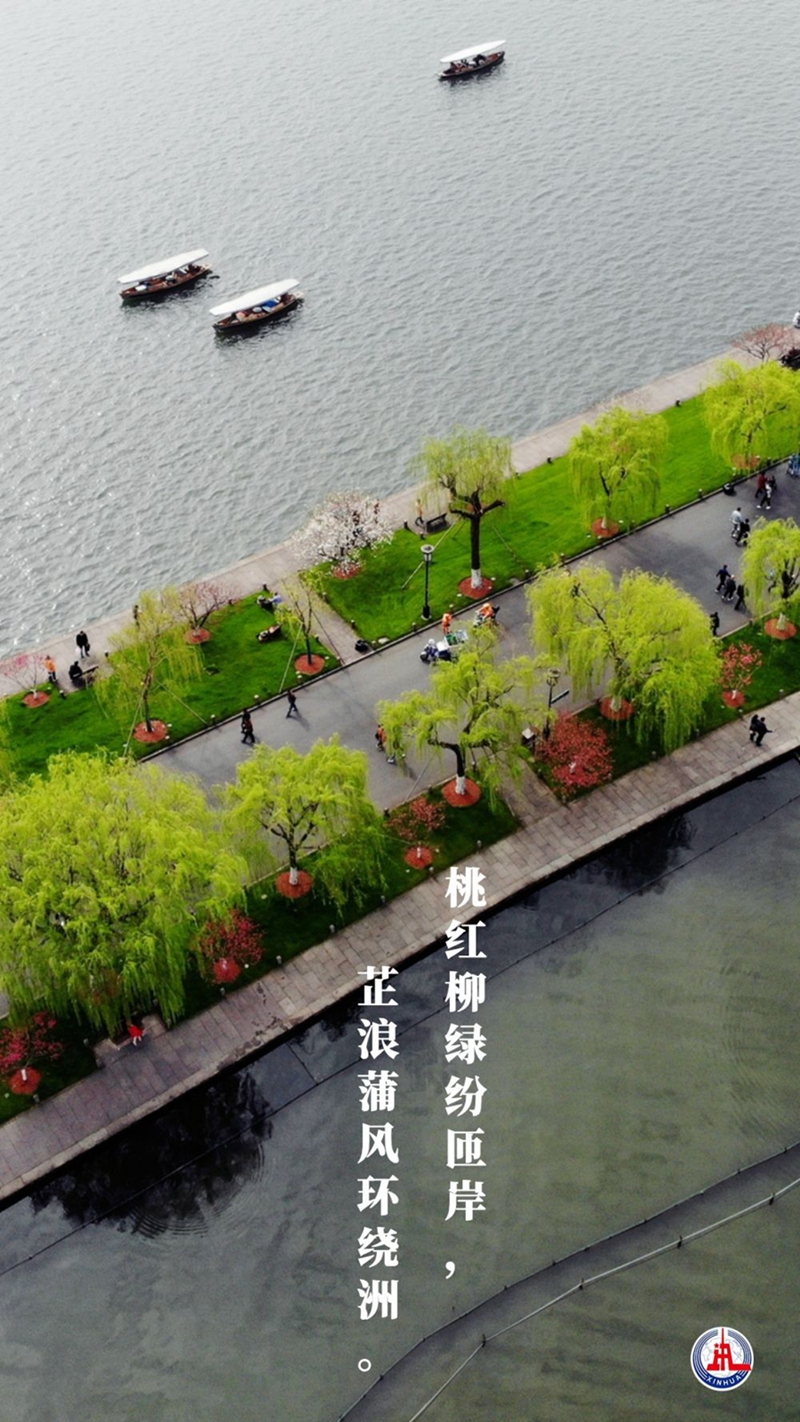 新華全媒+丨植樹傳統，從古詩中走來