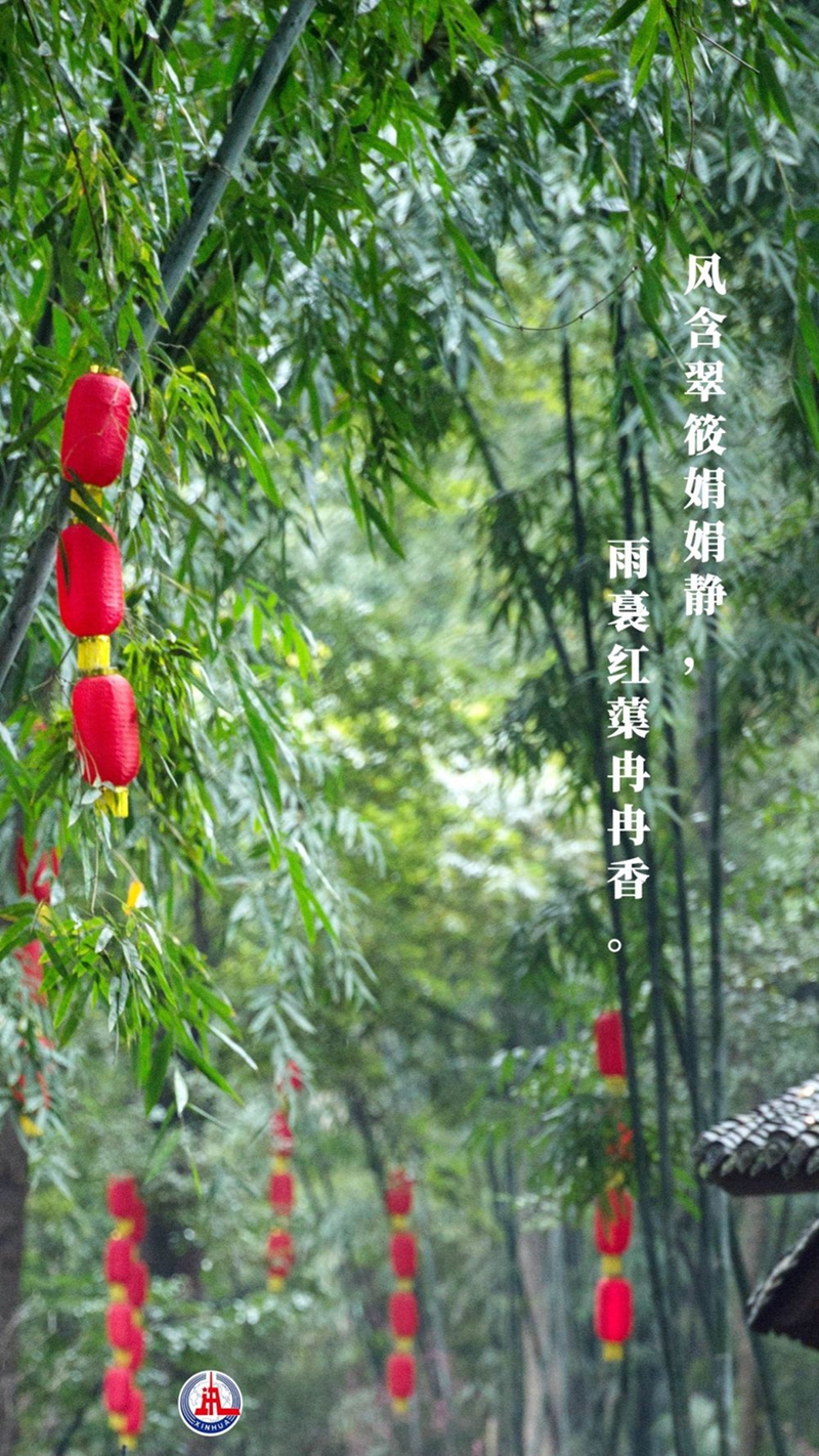 新華全媒+丨植樹傳統，從古詩中走來