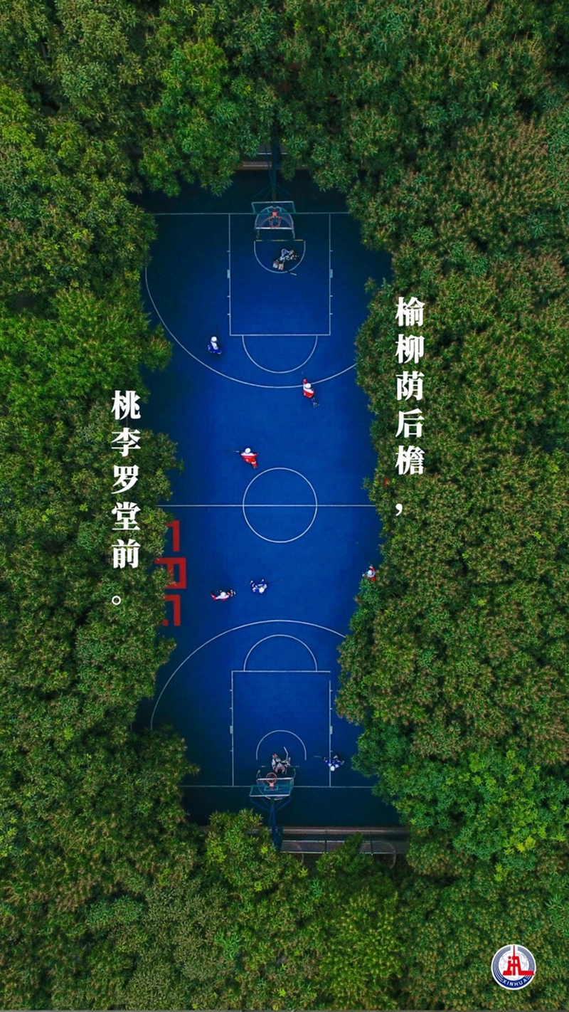 新華全媒+丨植樹傳統，從古詩中走來