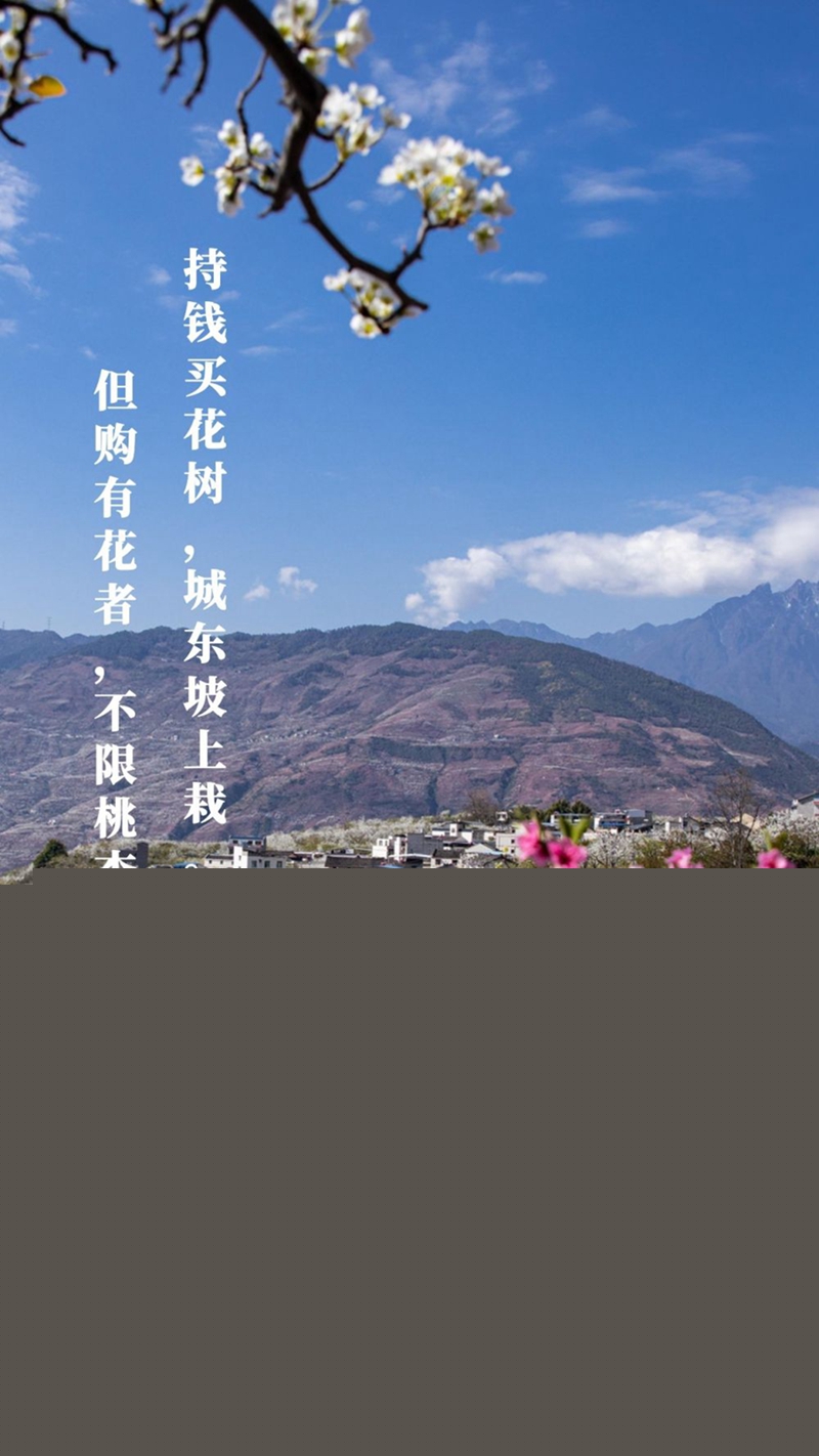 新華全媒+丨植樹傳統，從古詩中走來
