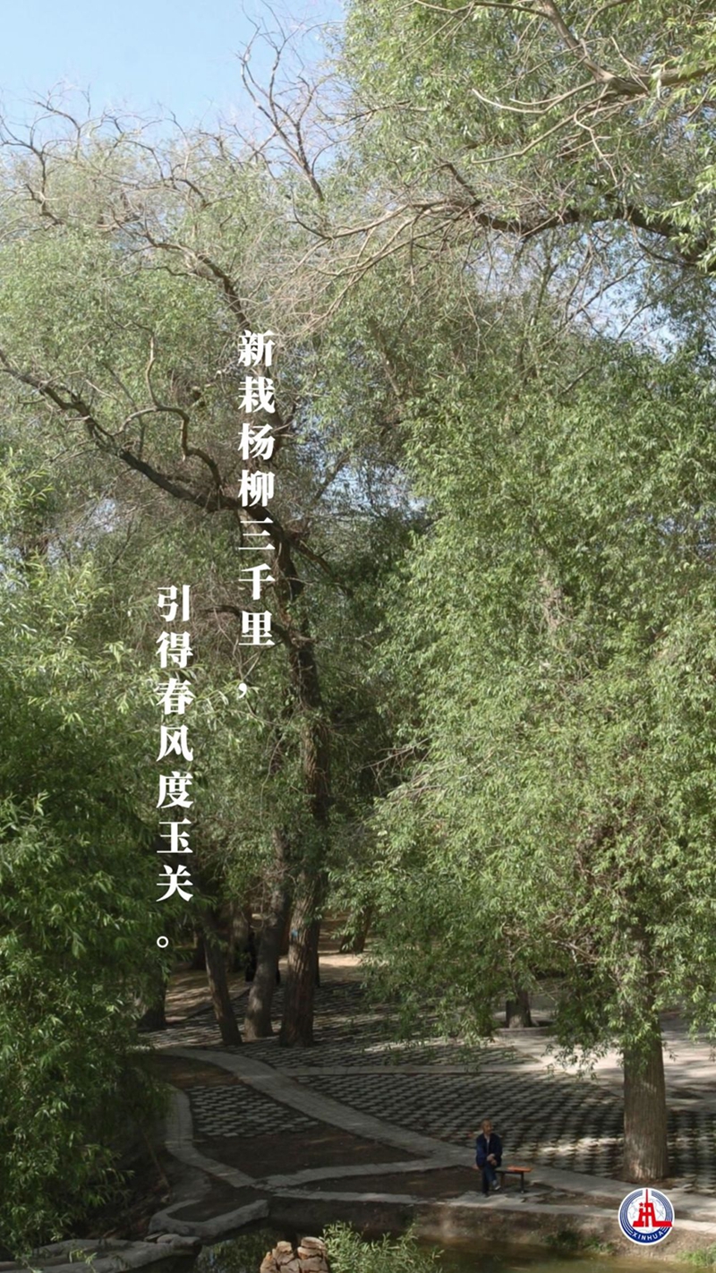 新華全媒+丨植樹傳統，從古詩中走來