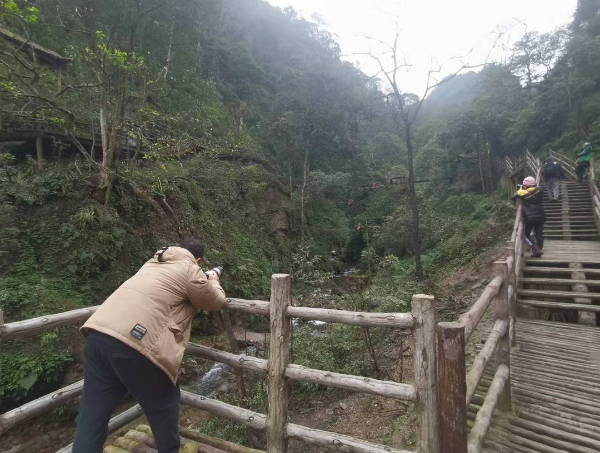 峨眉山猴子被拘留？假的！峨眉山猴子是國家二級保護動物