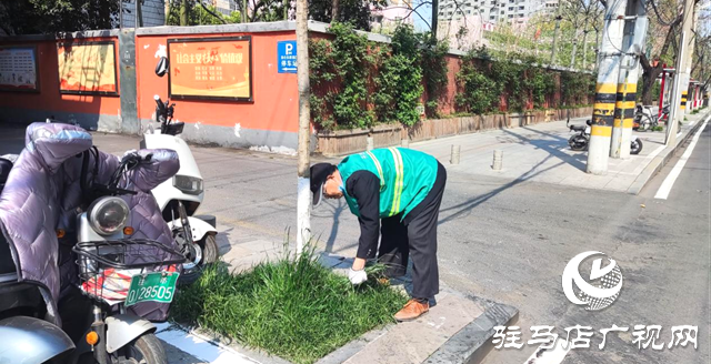 開發區城市管理局：提升園林景觀 助力創文沖刺
