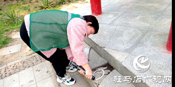 開發區城市管理局：提升園林景觀 助力創文沖刺