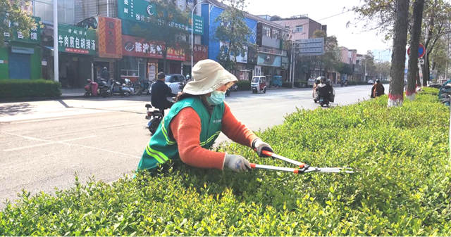 開發區城市管理局：提升園林景觀 助力創文沖刺