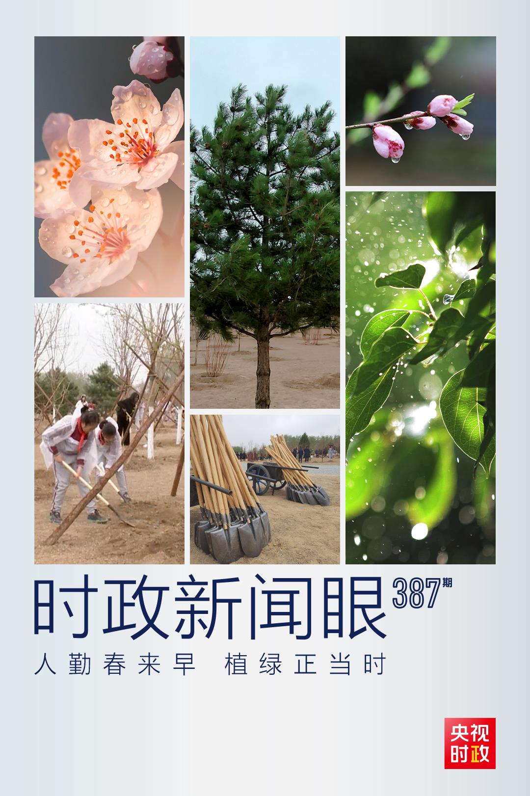 時政新聞眼丨在今年首都義務植樹現場，習近平這三句話飽含深意