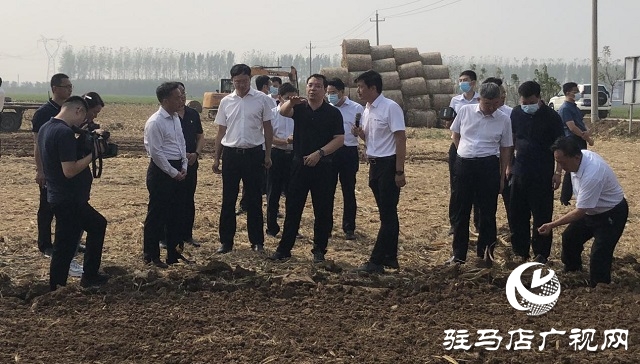 駐馬店市長李躍勇調研“三秋”生產
