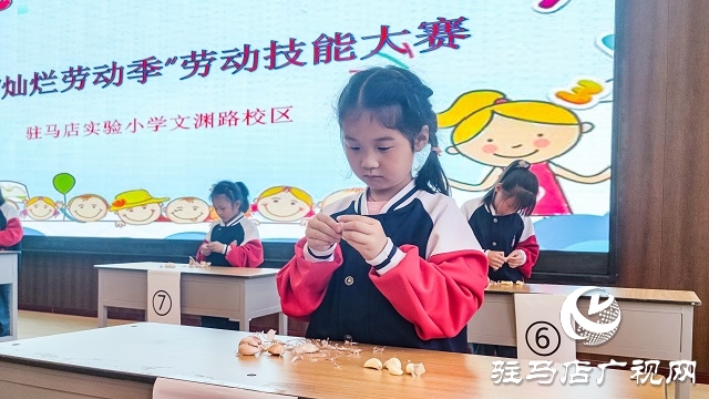 駐馬店實驗小學：勞動書寫精彩 奮斗展示自我