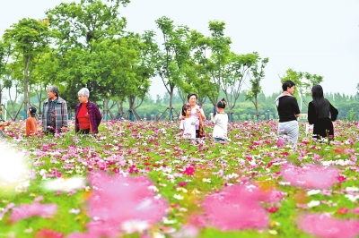 新時代 新征程 新偉業丨國際花園城市競賽，信陽憑啥“蟾宮折桂”
