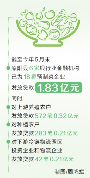 新時代 新征程 新偉業丨金融添薪“炒香”預制菜