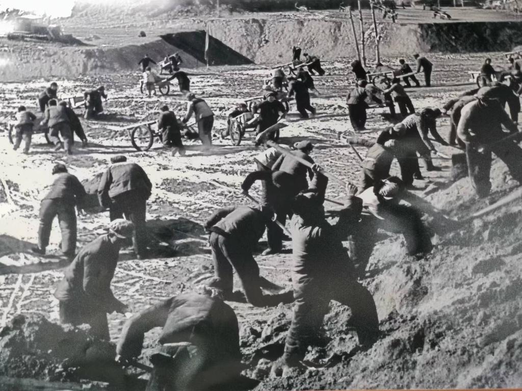 新時代新征程新偉業(yè)·習近平總書記關(guān)切事丨黃河之水天上來，奔流到此“青”幾許——黃河“幾字彎”生態(tài)治理一線故事