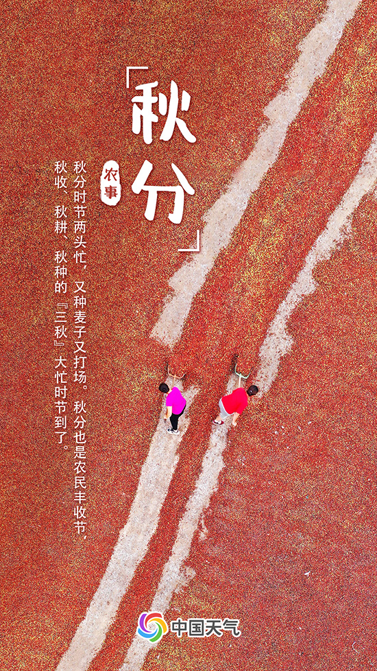 秋分至！又是一年好“豐”景 全國秋收地圖看哪里五谷豐登