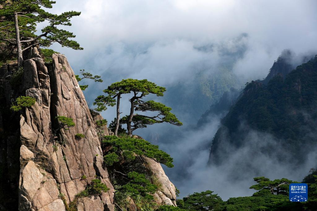 美麗中國｜安徽黃山：奇峰云海