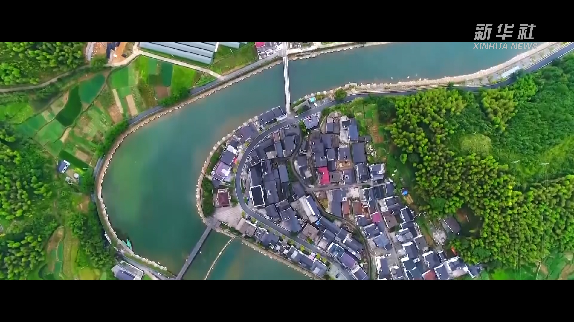 微視頻｜月是故鄉明