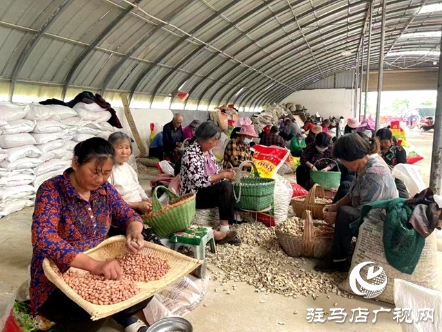 正陽縣：種業振興激活鄉村“致富水”