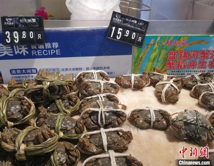 你吃大閘蟹了嗎？降價了，便宜的一只不到10元