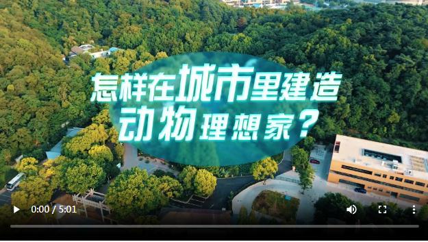 中國式現代化·青年的回答丨怎樣在城市里建造動物理想家？
