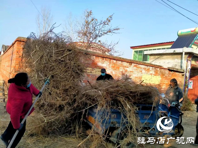 驛城區朱古洞鄉：人居整治“再發力”鄉村環境“煥新顏”
