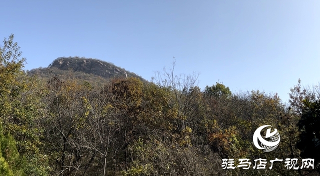 六大舉措”積極備戰森林防火緊要期