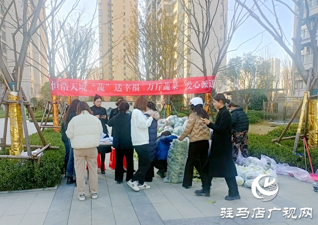 甘藍豐收找銷路 愛心企業采購解農憂