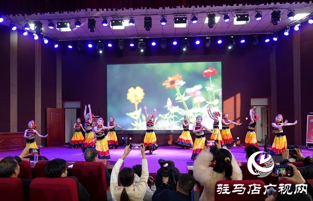 泌陽縣舉辦第二屆新年音樂詩(shī)會(huì)